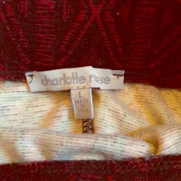 Charlotte Russe Aztec Mini Skirt - Picture 4 of 4